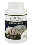 Hericium houby bio 100 kapslí (620 mg)