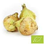 Oignon jaune frais BIO (Pologne) - environ 5 kg