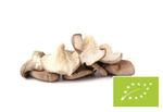 Pleurotes frais Bio (Pologne) (environ 0,20 kg) – Bio Planet