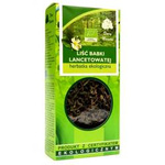 Lándzsás útifűlevél tea BIO 25 g