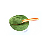 Moringa - polvere 10 kg - TOLA
