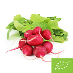 RZODKIEWKI ŚWIEŻE BIO (POLSKA) (około 0,20 kg)