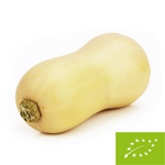 Dynia piżmowa (butternut) świeża BIO - około 10 kg