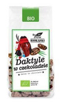 Daktyle w surowej czekoladzie BIO 100 g