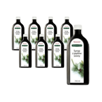 PACK DE 8 x Sirop de pignon de pin sans ajout d'acide citrique 250 ml