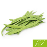 Haricots verts frais BIO (environ 0,50 kg)