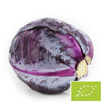 Cavolo rosso giovane fresco Biologico (Polonia) (confezione all'ingrosso) – circa 10 kg