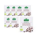 Glutenfreies Kastanien-Knäckebrot BIO 100 g