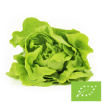 Sałata masłowa świeża BIO (Polska) – około 0,18 kg