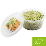 Pousses de brocoli fraîches BIO (environ 50 g)