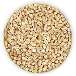 Farro (grano) bio (materia prima) (25 kg) 8