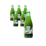 Suc acru de țelină, fără zahăr BIO 300 ml