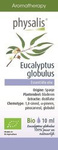 Olejek eteryczny eukaliptus gałkowy (Eucalyptus globulus) BIO 10 ml – Physalis