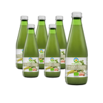 Eingelegte Petersilie Saft Bio 300 ml