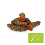 Curcuma frais BIO (environ 0,20 kg)