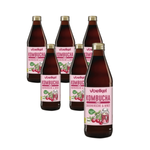 SADA 6 x Kombucha třešňovo-mátová BIO 330 ml