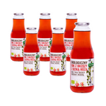 Jus de baies de bouleau avec églantier BIO 1 l