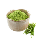 Pulbere de grâu verde (iarbă de grâu) 1 kg - TOLA