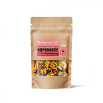 Mix Ecologic de Fructe Liofilizate pentru Musli și Deserturi Imunitate BIO 20 g – Dary Natury
