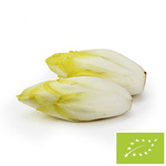 Cicoria fresca BIO 5 kg – Bio Planet
