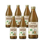 SADA 6 x Kombucha BIO 330 ml