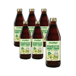 SADA 6 x Kombucha limetkovo-zázvorová BIO 330 ml