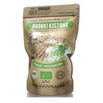 Eingelegte Gurken BIO 500 g /1 kg