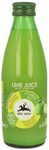 Limettensaft nfc 100 % BIO 250 ml