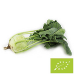 Frischer Kohlrabi bio (polnisch) (ca. 0,20 kg)